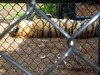 DSCN4503.jpg