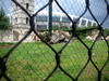 DSCN4505.jpg