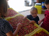 DSCN4537.jpg