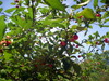 DSCN4543.jpg