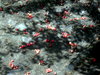 DSCN4544.jpg