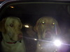 DSCN3654.JPG