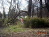 DSCN3889.JPG