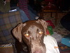 DSCN3904.JPG