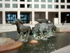 DSCN6017.JPG
