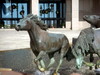 DSCN6018.JPG