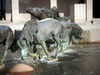 DSCN6019.JPG