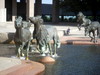 DSCN6020.JPG