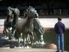 DSCN6025.JPG