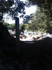 A graveyard