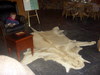 DSCN3236.JPG