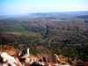 DSCN2990.JPG