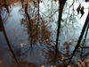 DSCN2991.JPG