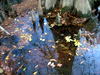 DSCN2993.JPG