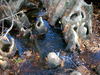 DSCN2994.JPG