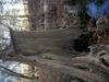 DSCN2995.JPG