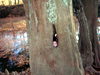 DSCN2996.JPG