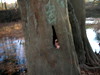 DSCN2999.JPG