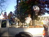 DSCN5875.JPG