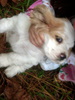 DSCN5958.JPG