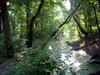 DSCN5126.JPG