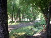 DSCN5128.JPG