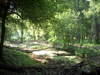 DSCN5129.JPG
