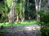 DSCN5130.JPG