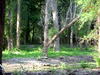 DSCN5131.JPG