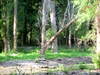 DSCN5132.JPG