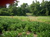 DSCN5133.JPG