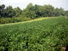 DSCN5135.JPG