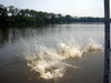 DSCN5142.JPG