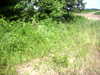 DSCN5152.JPG