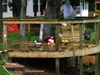 DSCN0459.JPG