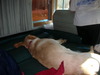 DSCN1621.JPG