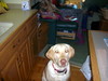 DSCN1623.JPG