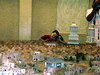 DSCN1639.JPG