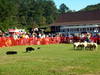 DSCN1659.JPG