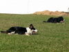 DSCN1662.JPG