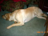 DSCN3957.JPG
