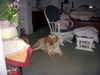 DSCN3999.JPG