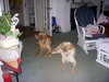 DSCN4000.JPG