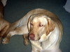 DSCN4002.JPG