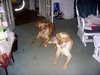 DSCN4003.JPG