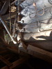 DSCN4027.JPG