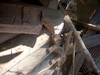 DSCN4029.JPG