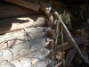 DSCN4032.JPG