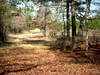 DSCN4039.JPG