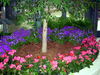 DSCN4118.JPG